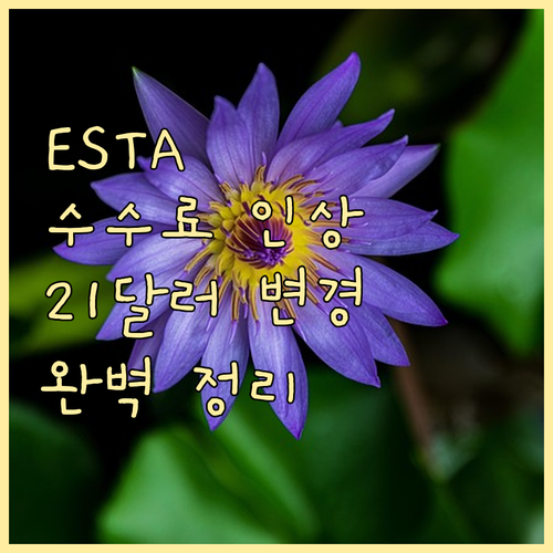 ESTA 수수료 21달러 인상 변경사..