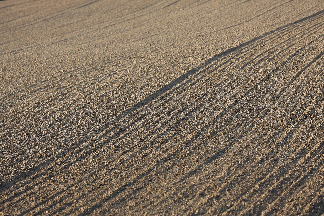 2026년 연애운 총정리 (별자리, 사주, 명리)