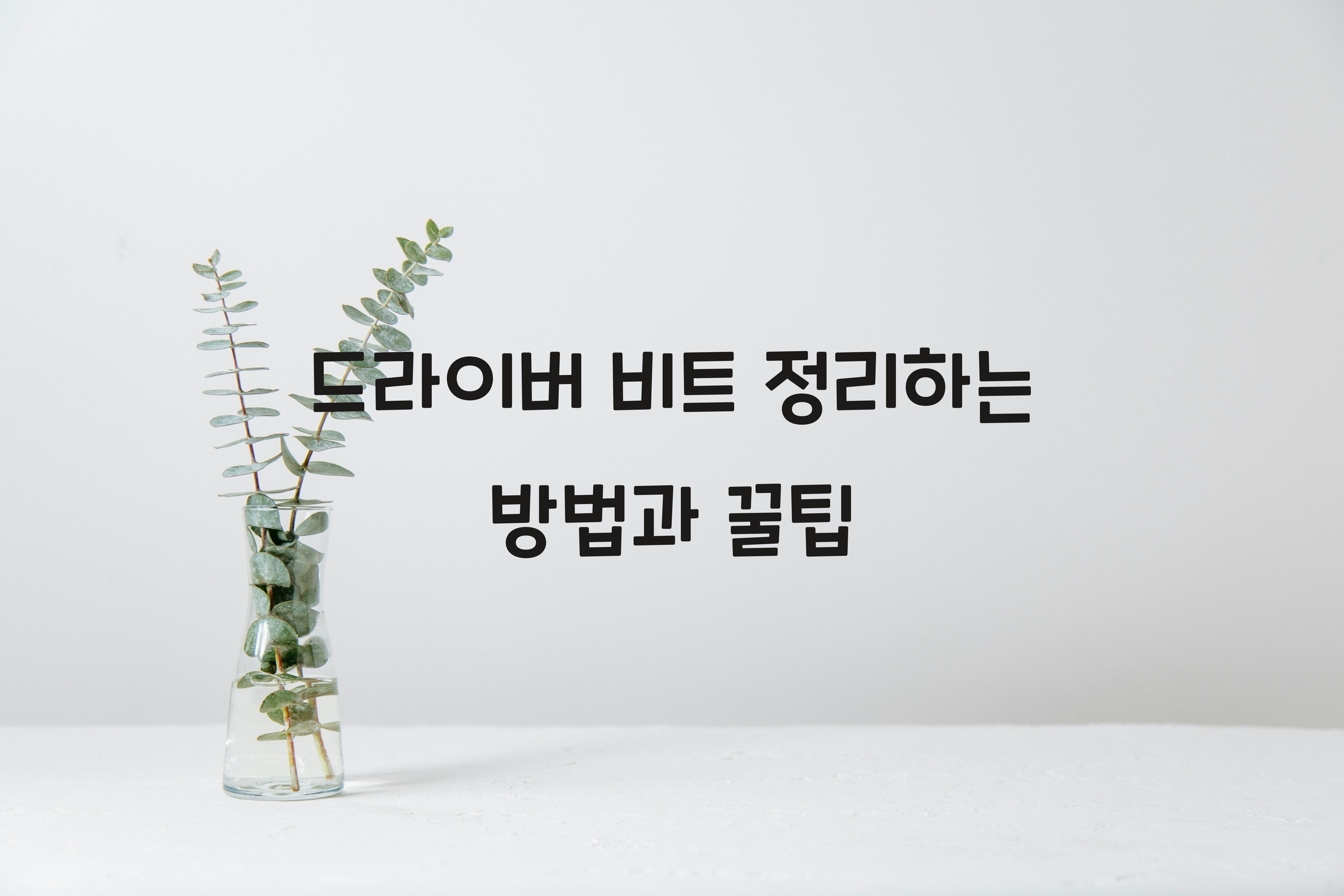 드라이버 비트 정리하는 방법