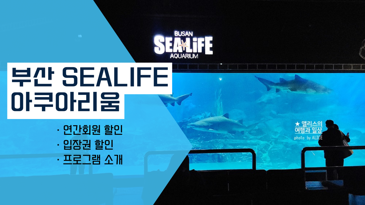 부산 아쿠아리움 입장권 최저가 할인방법, 연간할인, 실내 프로그램