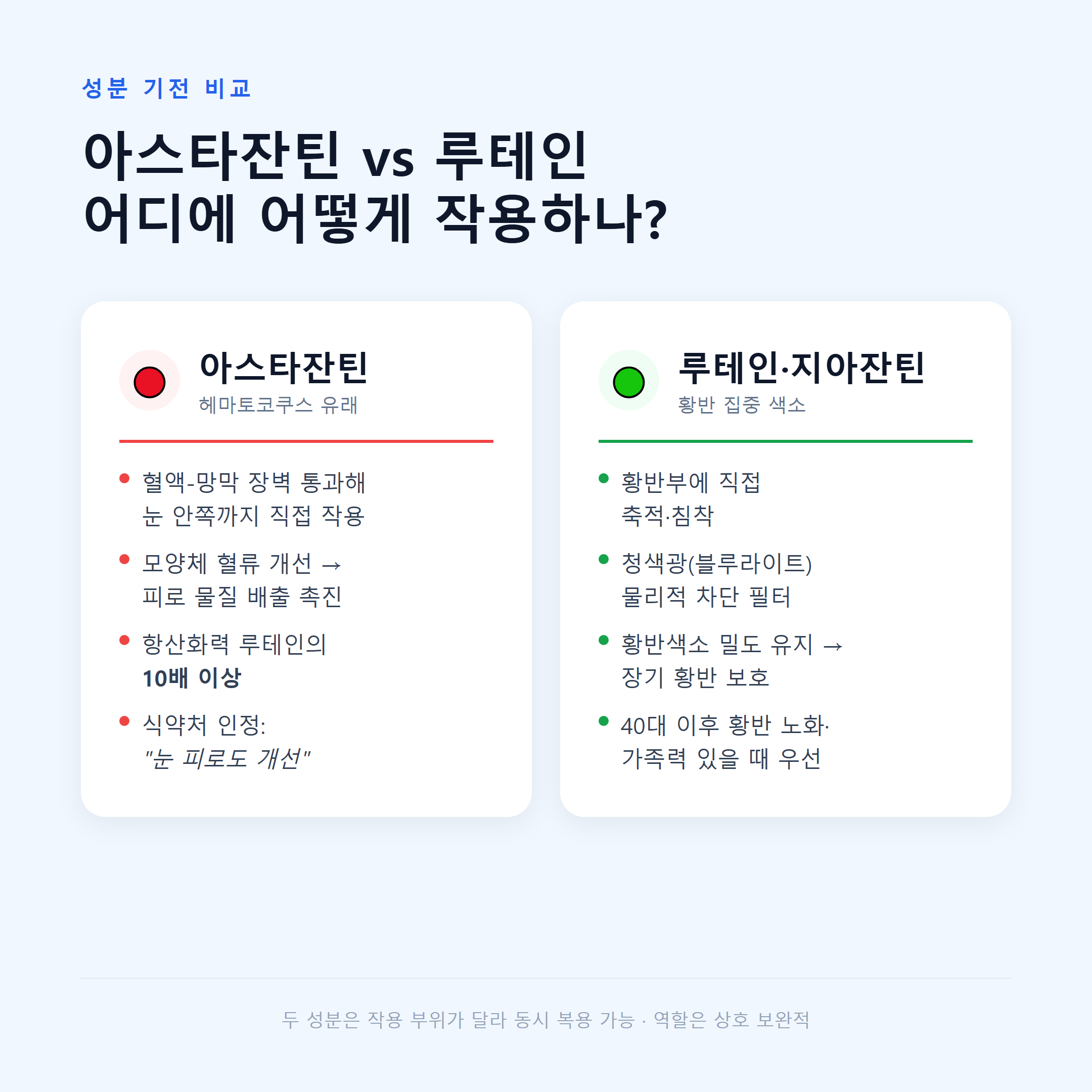 아스타잔틴과 루테인 눈 영양제 성분 기전 비교 &mdash; 작용 부위와 기능 차이