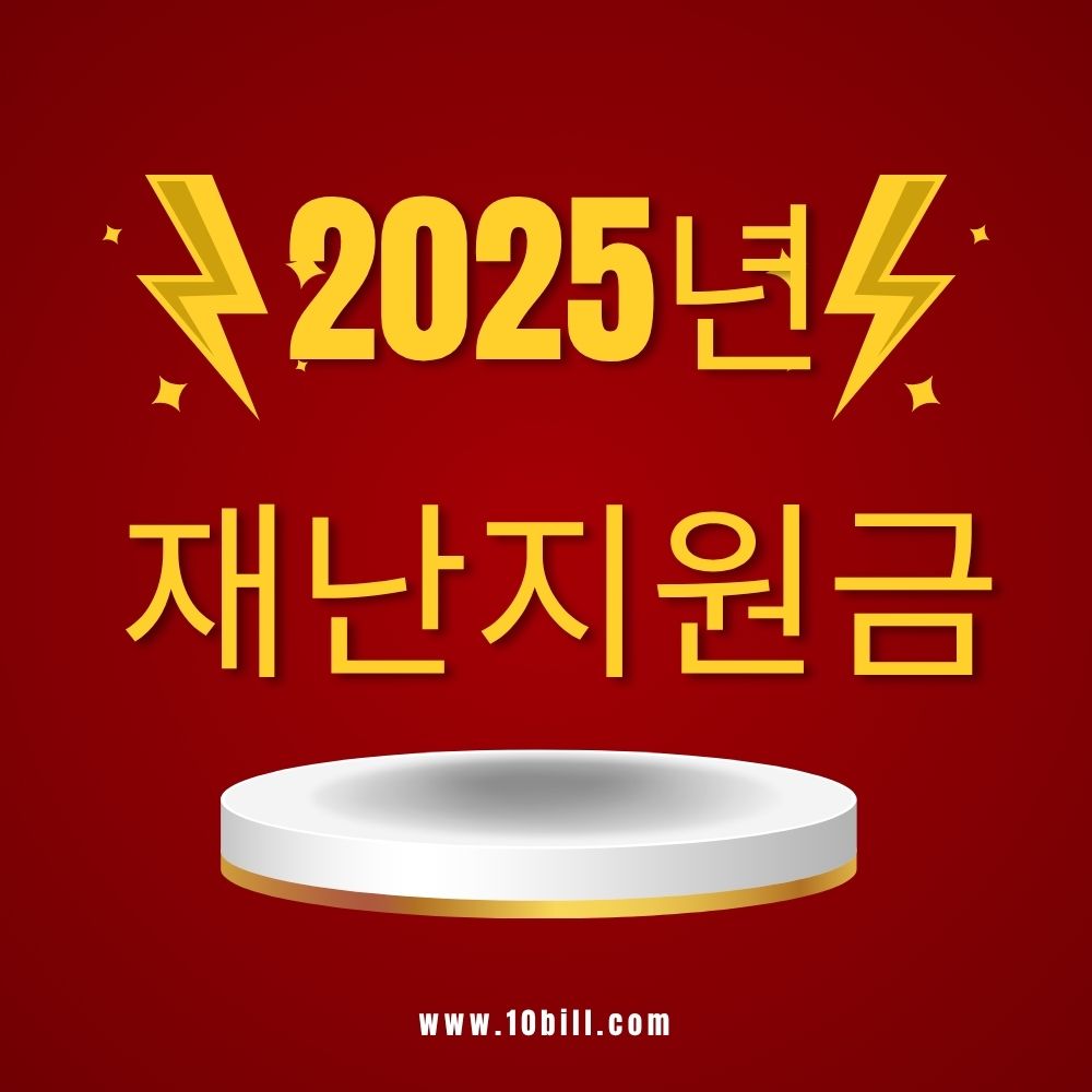 2025 재난지원금(민생회복 소비쿠폰)