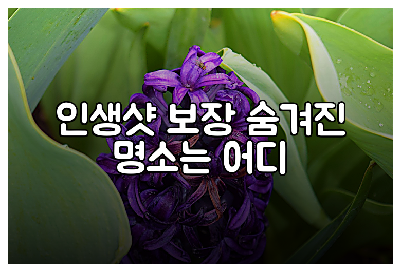 인생샷 보장 숨겨진 명소는 어디