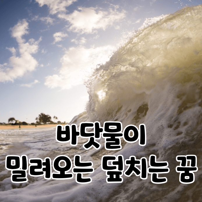 바다의 파도