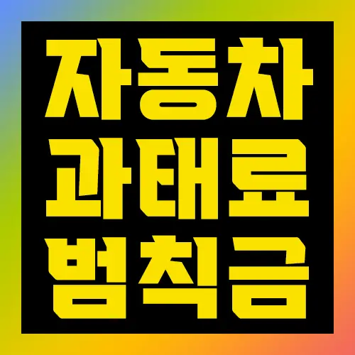 자동차 과태료 범칙금 차이점