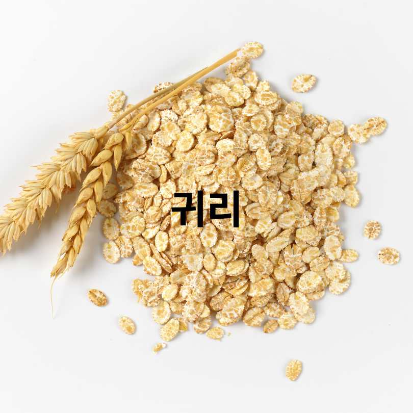 항산화 효과가 높은 곡물 BEST 6