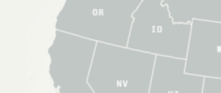 2024-미국-대통령-선거-실시간-개표-사이트