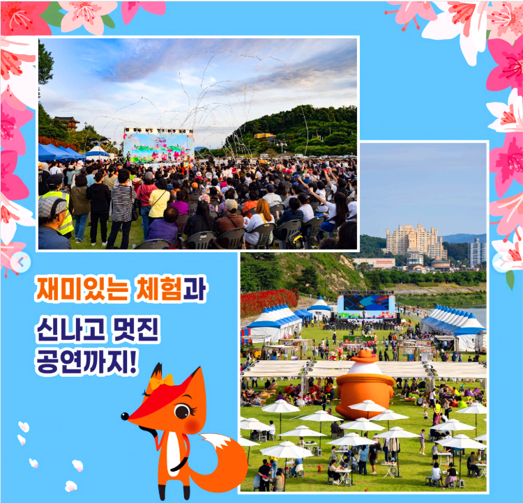 영주 소백산 철쭉제