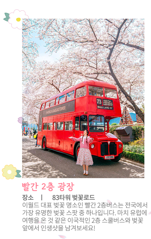 이월드 벚꽃 포토존