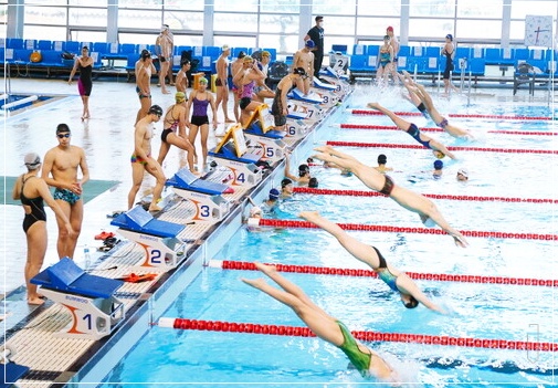 전국수영-수영대회-11