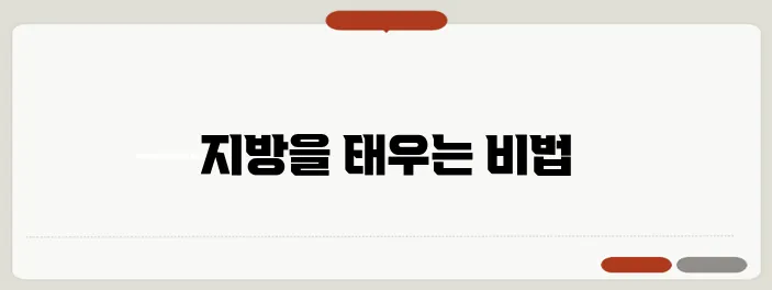 방탄커피로 시작하는 다이어트의 비밀을 만나보세요!