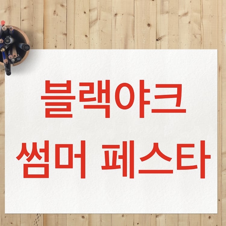 블랙야크_썸머페스타