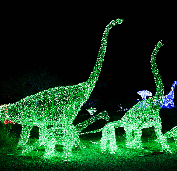 제주도 축제
