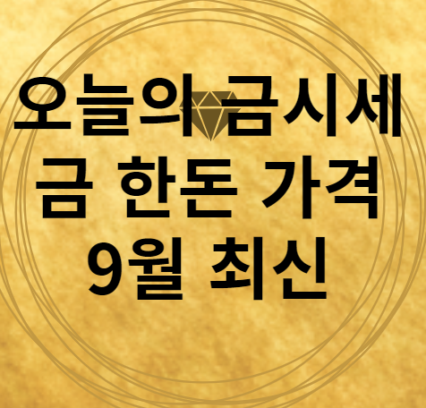 오늘의 금시세 금 한돈 가격