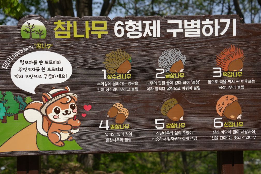 바다향기수목원