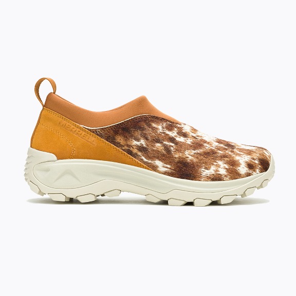 머렐 트레킹화, 등산화, 운동화 추천