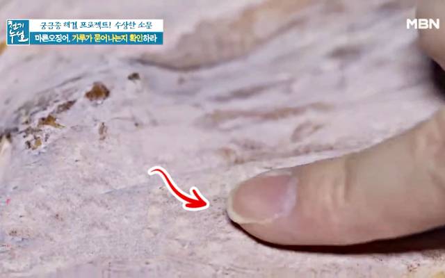 마른 오징어 하얀가루 곰팡이 마른오징어보관법