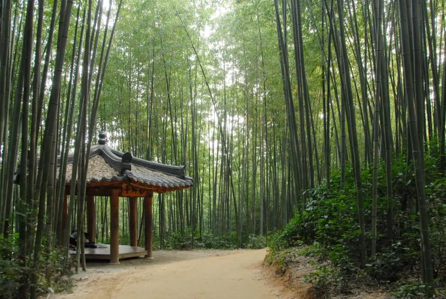 담양 죽녹원 소아르호텔 숙박 맛집_6