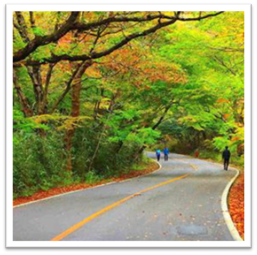 전라도 가을 여행지 추천7