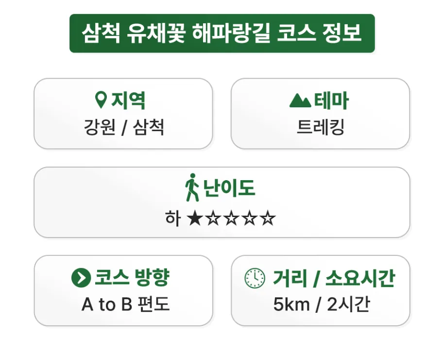 강원도 삼척 맹방 유채꽃 승우여행사 버스 투어