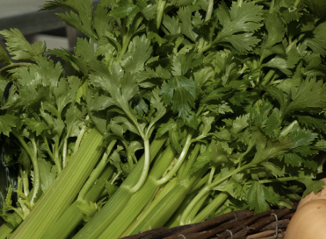 멜라토닌 많은 음식 29