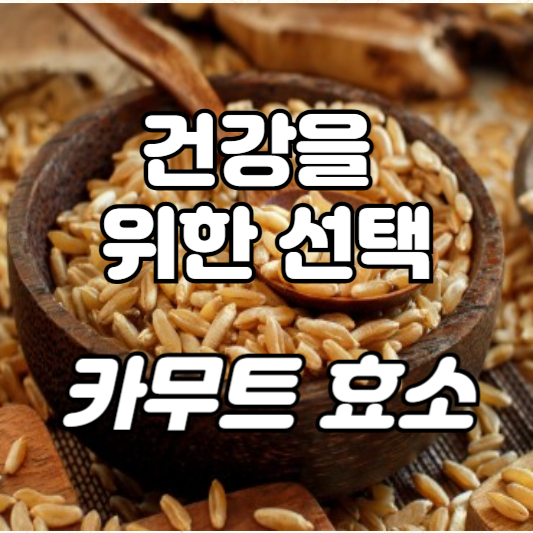 카무트 효소