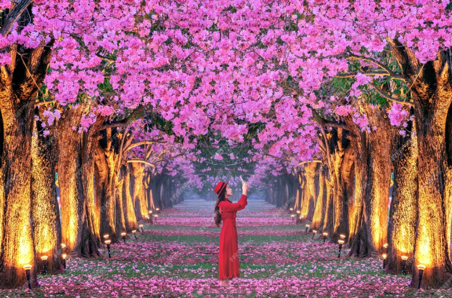 2024년 4월 꽃축제 방문 시 주의사항