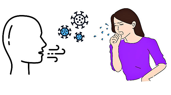 홍역의 감염원인 및 경로