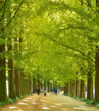 담양 맛집 베스트10 진짜 현지인만 아는곳_44