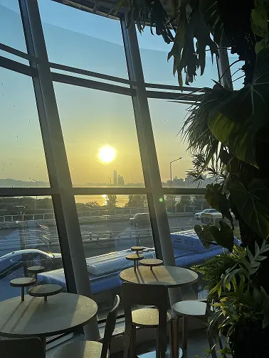 양화 한남대교 한강 전망카페 오픈 소식 견우 새말 선유 카페 진정성 브어반플랜트 브런치