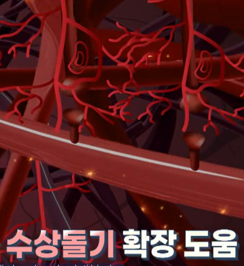 포스파티딜 세린 효능