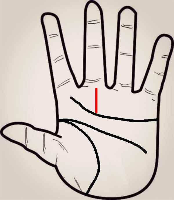 운명선 - 말년에 바쁜 손금