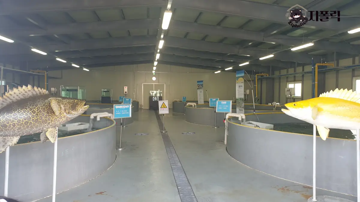 쏘가리체험-내부