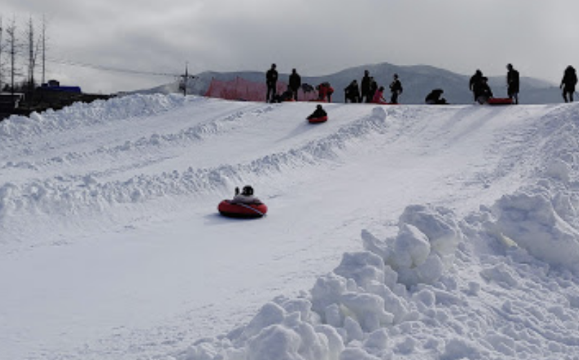 대관령 눈꽃축제 예매