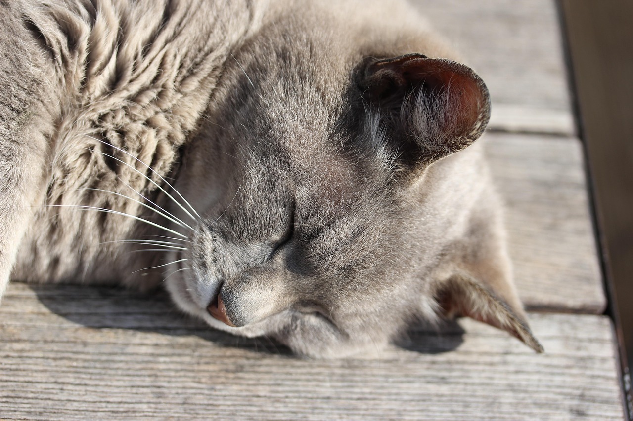 40대 이상을 위한 숙면 팁 관련 사진