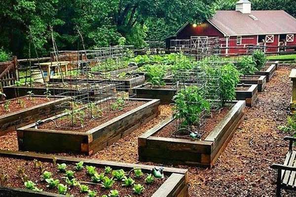 기토를 상징하는 작은 텃밭