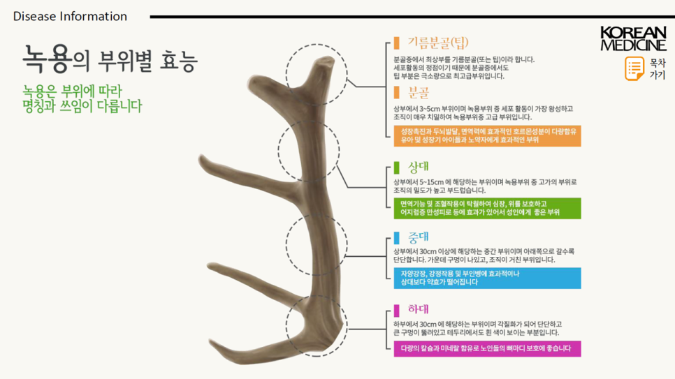 녹용 추천