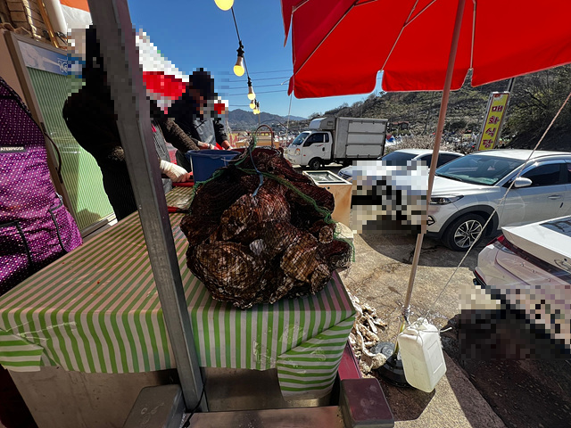 24년 광양 매화 축제 일정 요금 주차