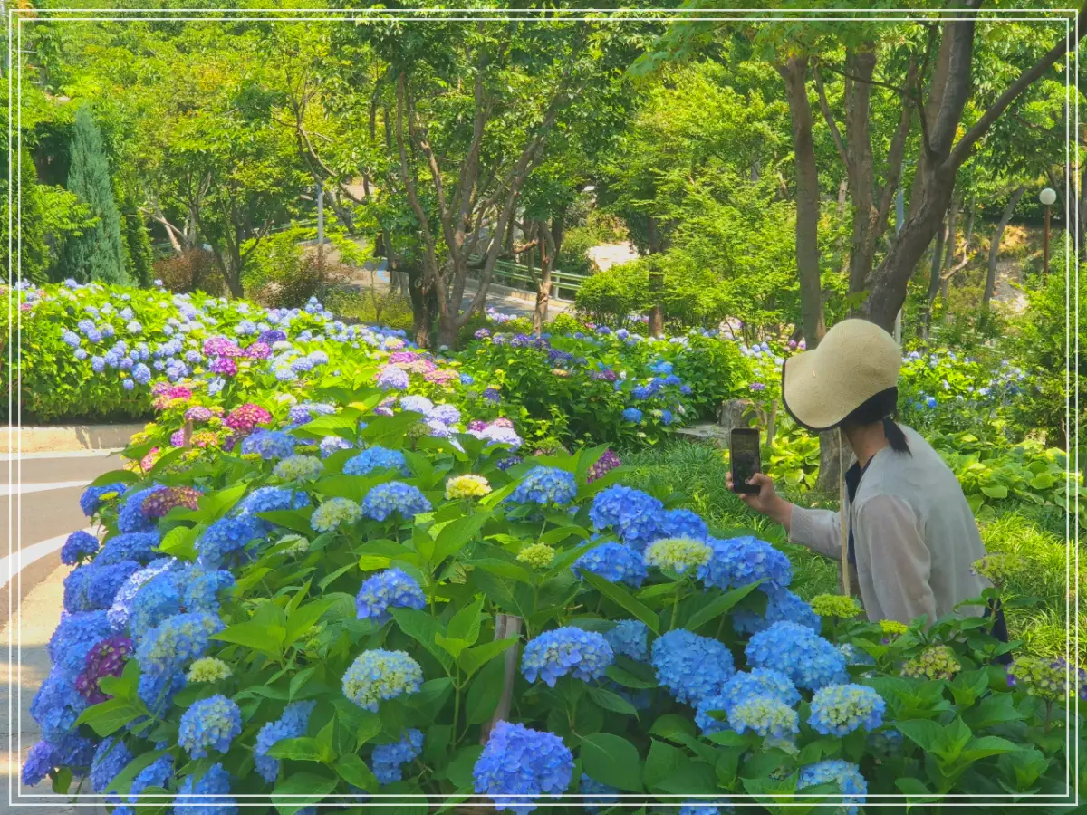 batch_Resized_20250610_113637_1749619488530