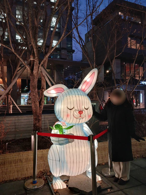 빛초롱 토끼