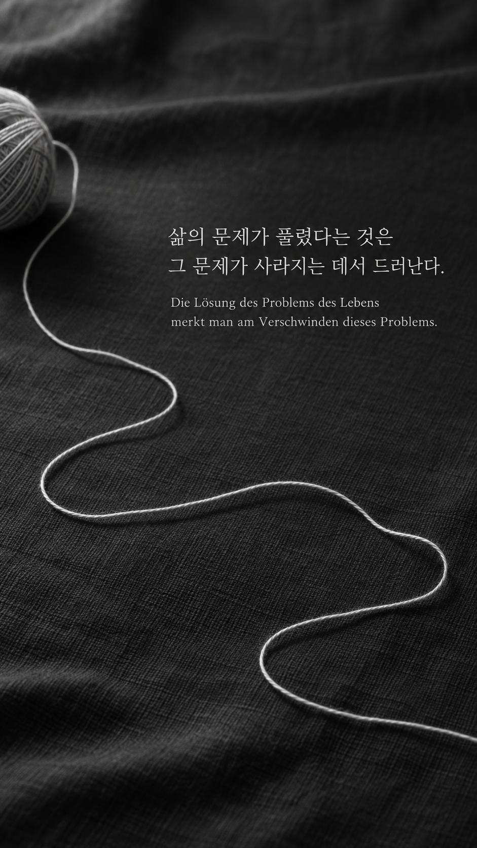독일어 명언 29 비트겐슈타인 삶의 문제가 풀렸다는 것은 그 문제가 사라지는 데서 드러난다. — 검은 천 위 풀린 실타래