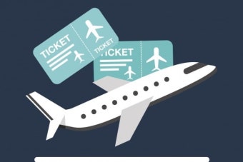 2025년 땡처리 항공권 완전정복!