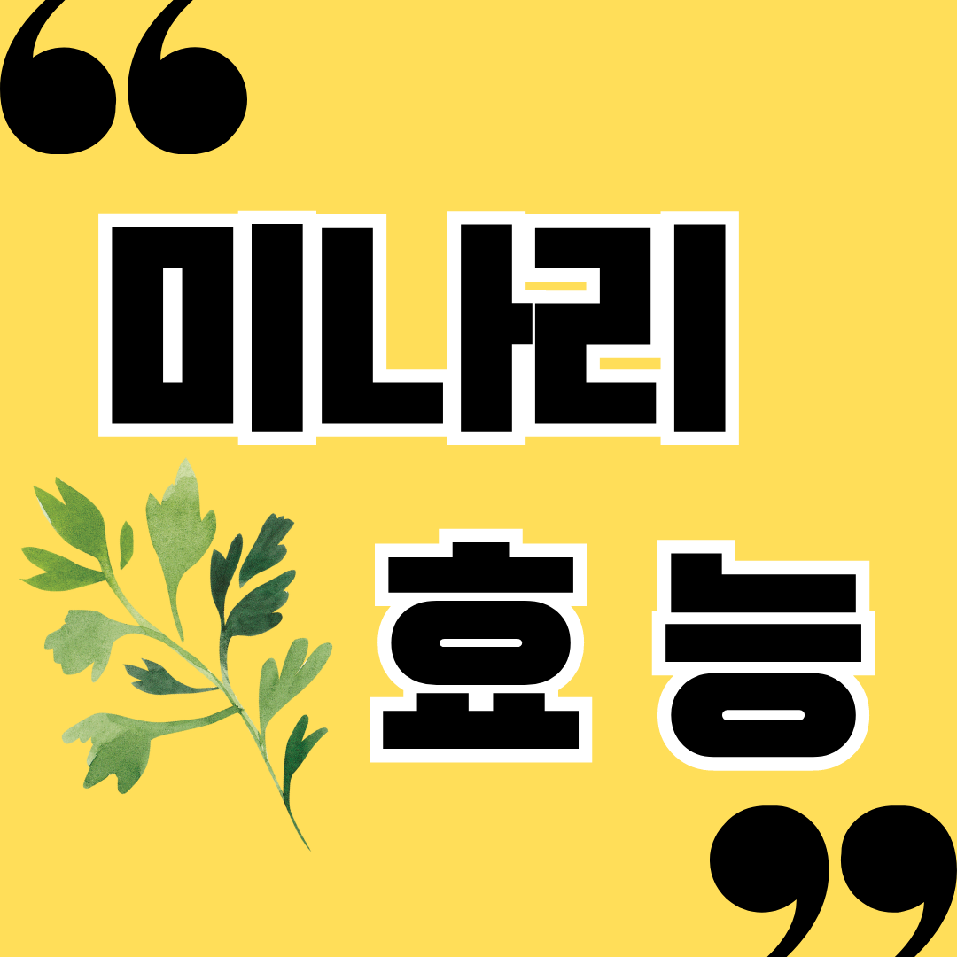 미나리 효능 11가지