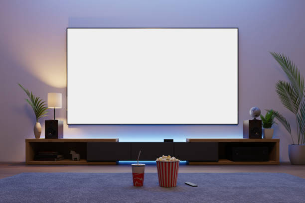 TV 시청