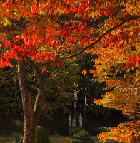 25년 단풍시기 경기도 단풍명소