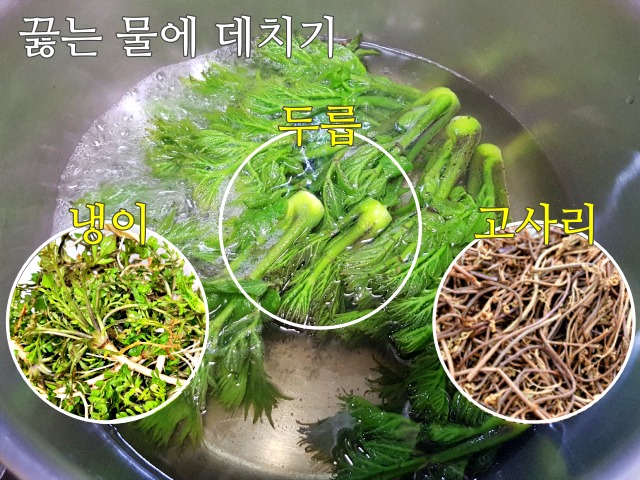생으로 먹으면 안되는 봄나물,냉이 두릅