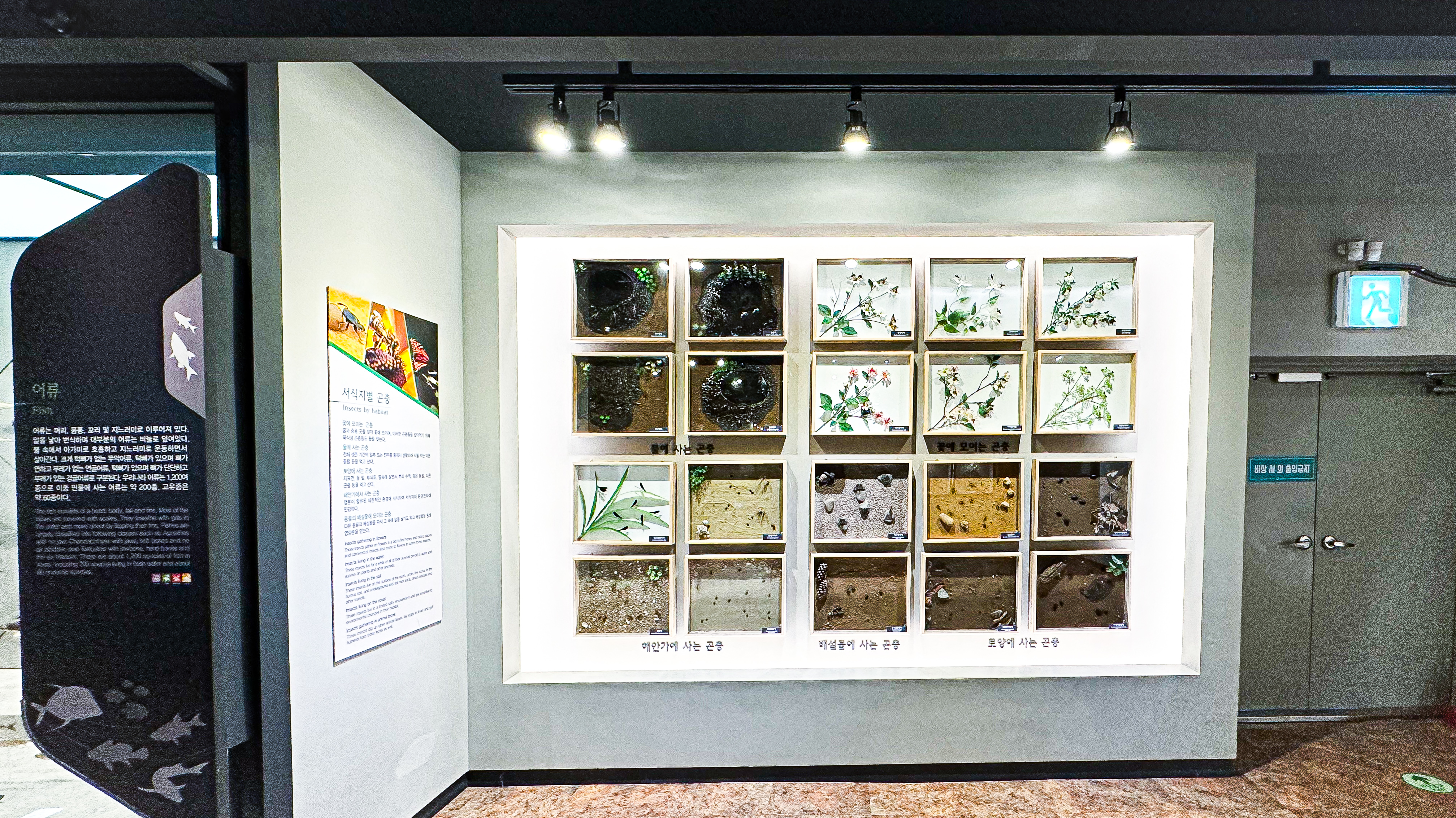 국립 중앙 과학관