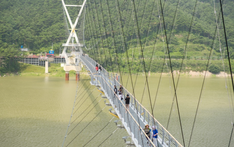 영천 보현산댐 출렁다리