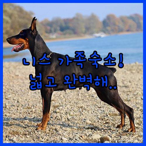 가족 여행에 딱 좋은 니스와 넓은 아..