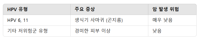 HPV 저위험군의 특징과 증상